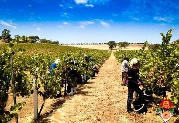 TOP 10 Practical Travel Jobs for Long-Term Backpackers 10