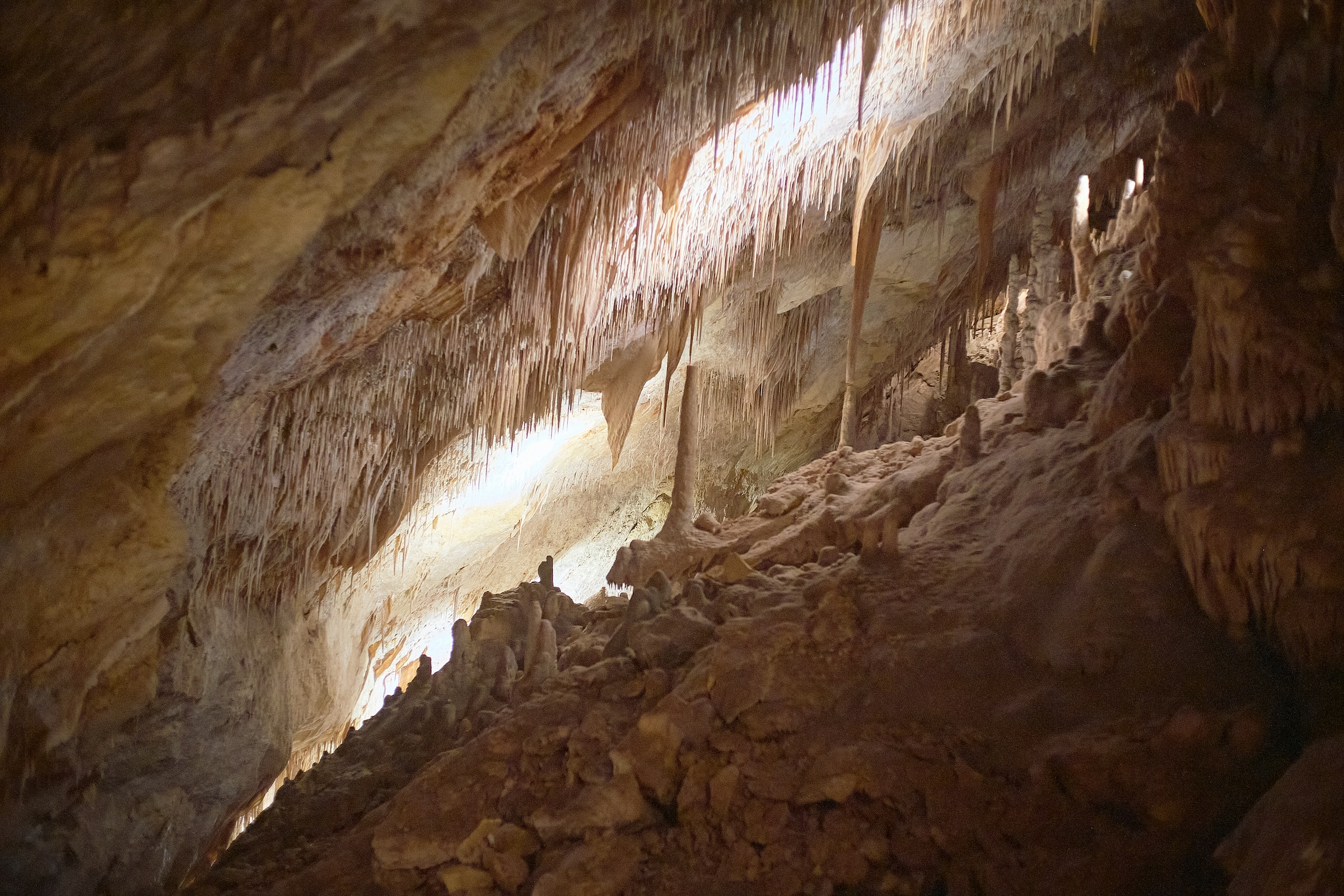 5 Reasons for a Family Holiday in Pollenca, Mallorca