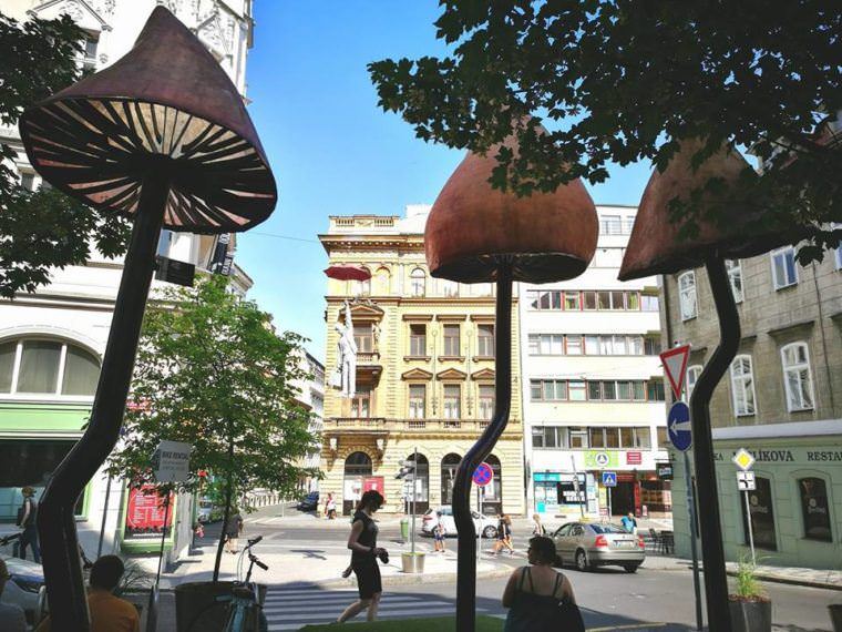 Feeling like a local in Prague, 5 Reasons to Stay at Mooo Apartments