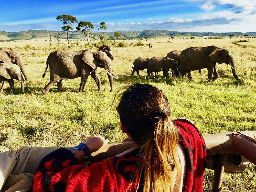 Kenya Safari