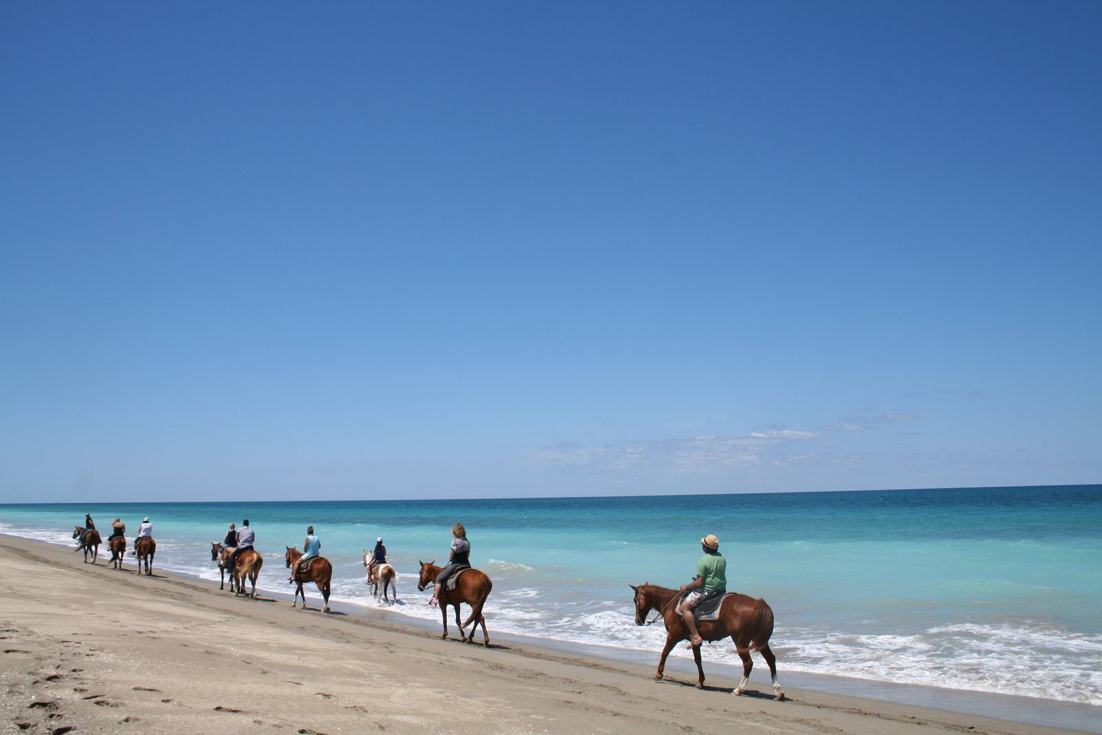 Horseback Riding on the Beach Port Saint Lucie