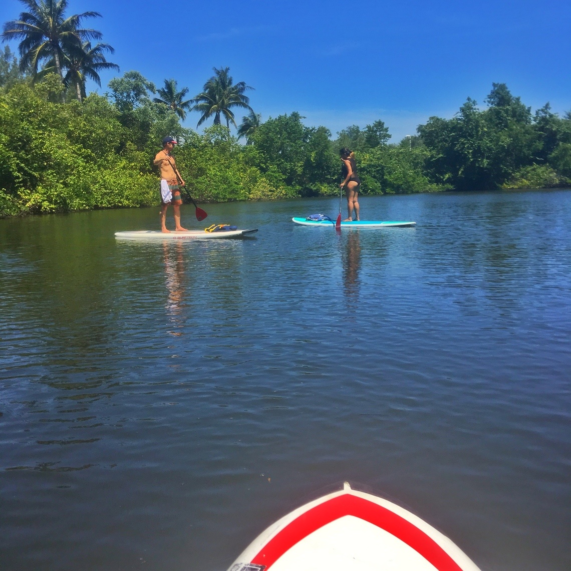 Paddle boarding in Jupiter’s Intercoastal Waterway