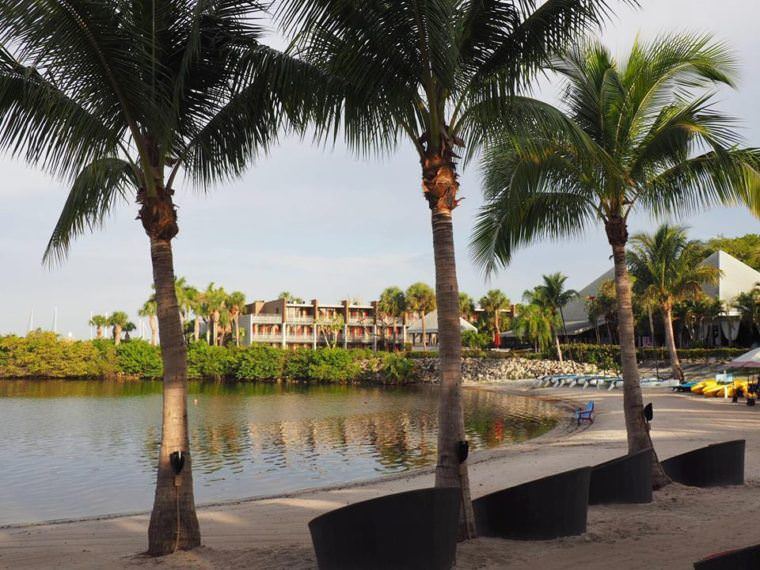 Two monkeys travel - port st lucie - club med 5