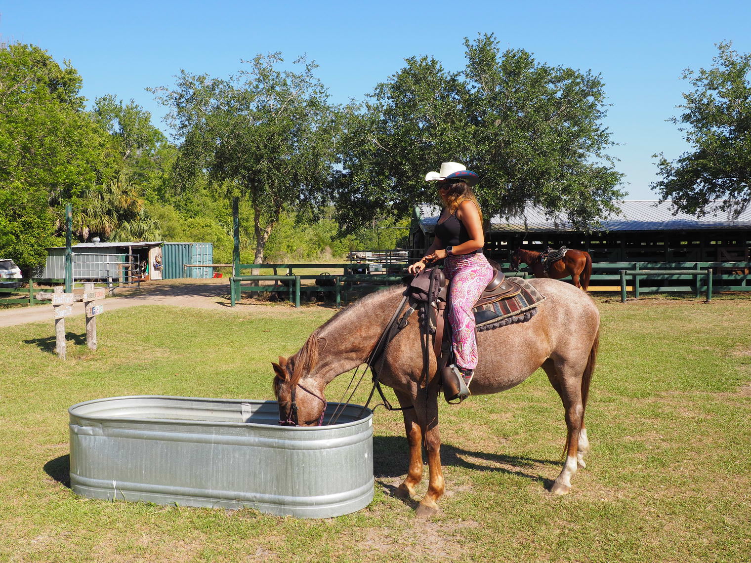 kissimmee_horseback_riding_forever_florida
