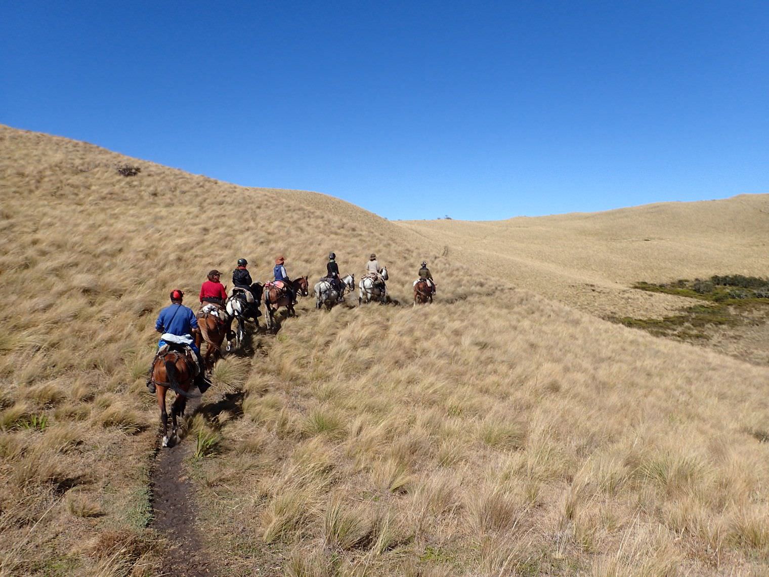 Ride Andes in Ecuador