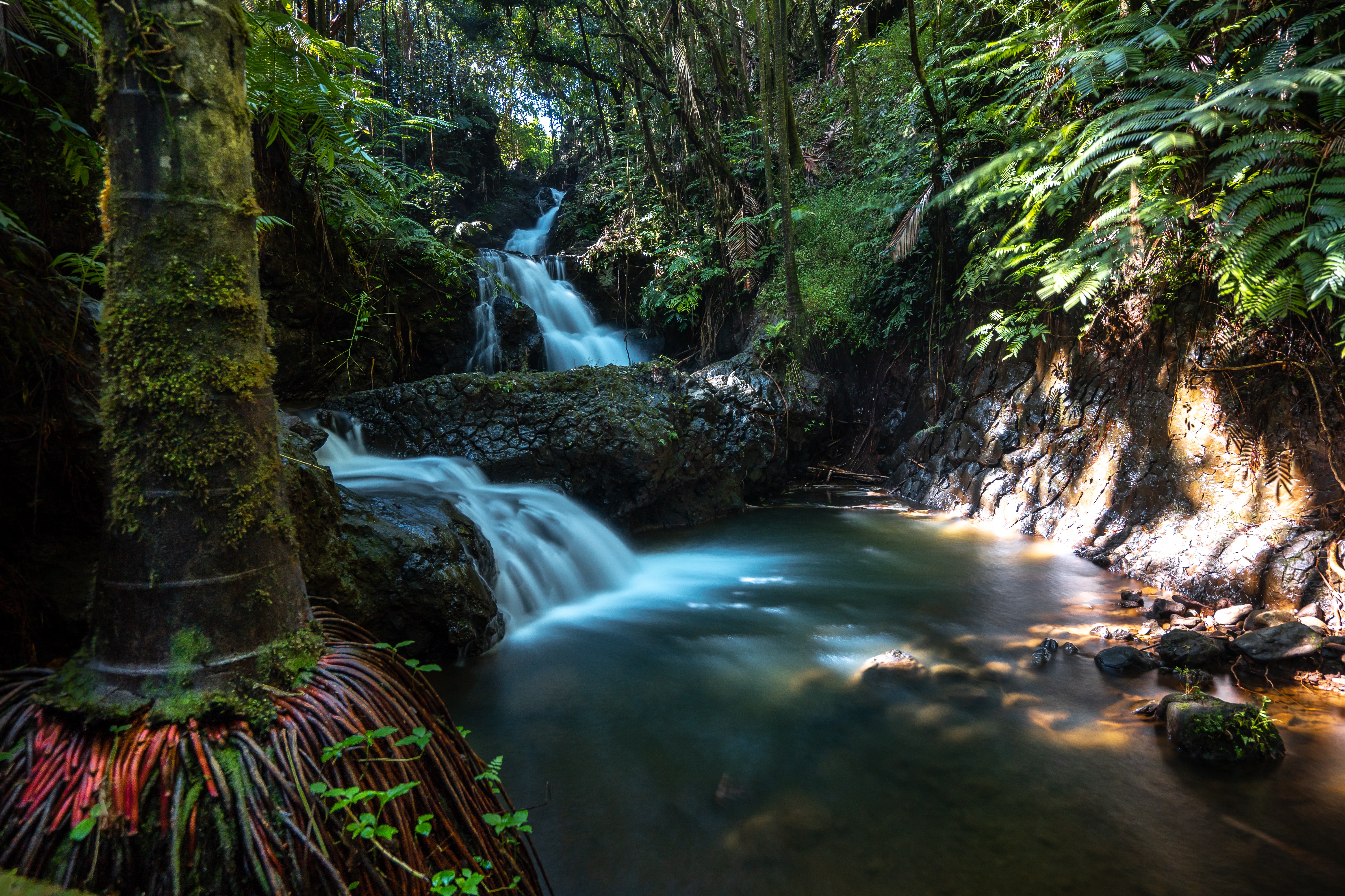 15 Things to do in Hilo, Hawaii12