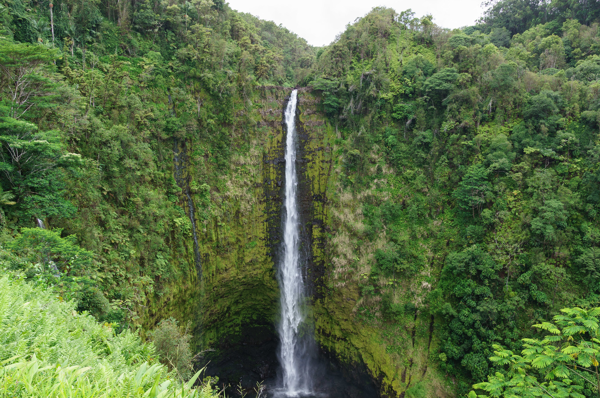 15 Things to do in Hilo, Hawaii
