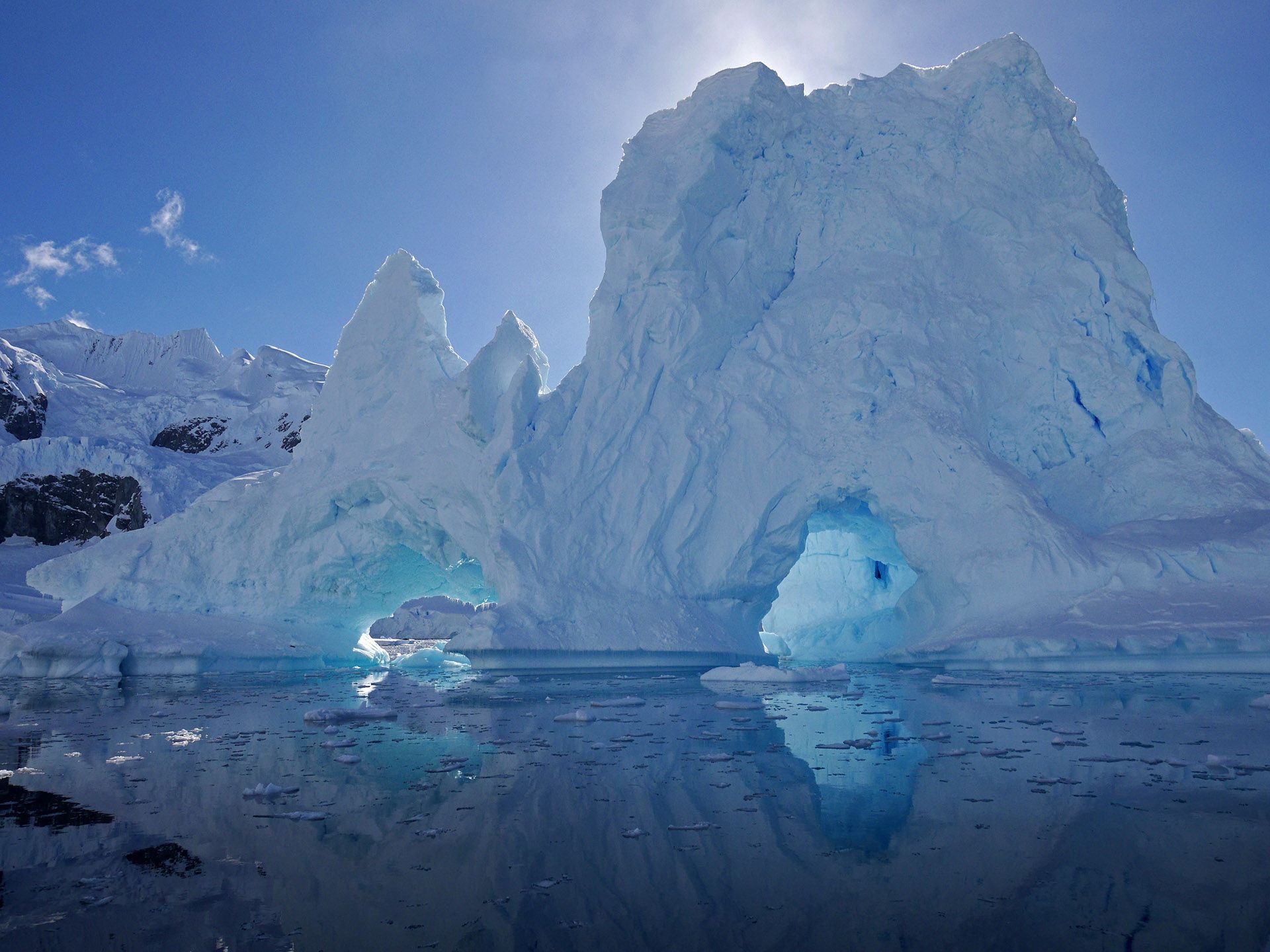 Travel trends 2022 New Wildlife Experiences for Gourmets