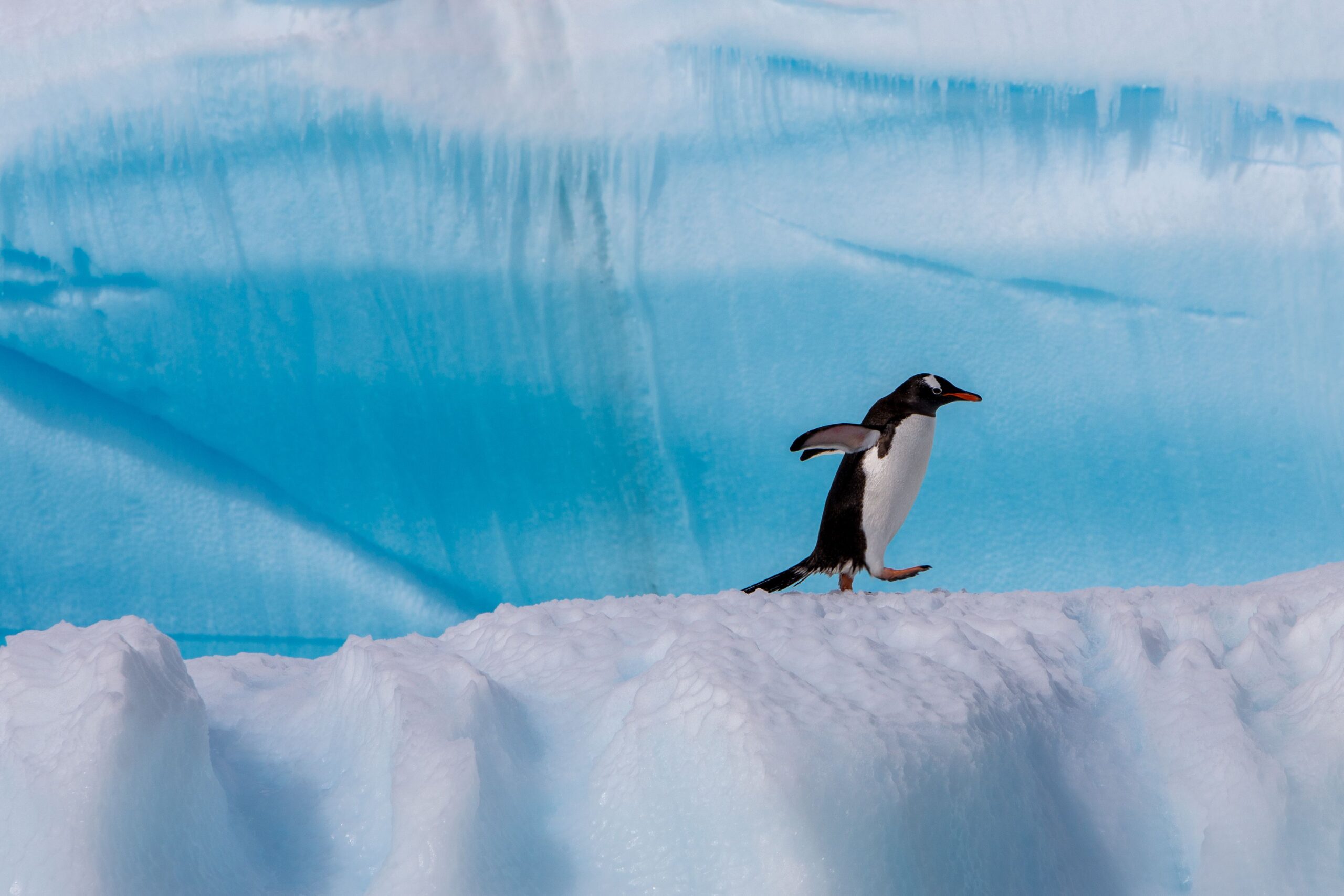 Travel trends 2022 New Wildlife Experiences for Gourmets