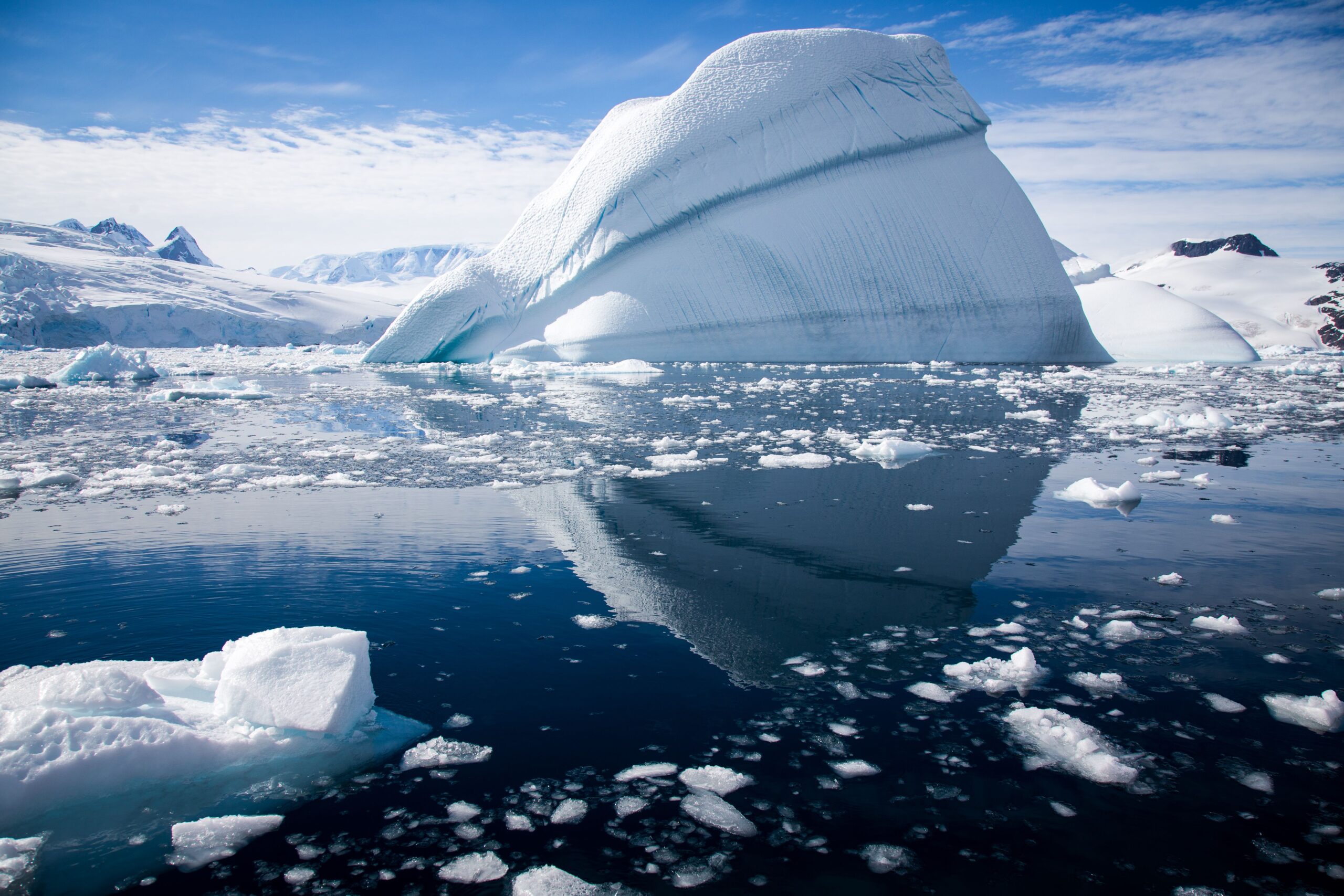 Travel trends 2022 New Wildlife Experiences for Gourmets