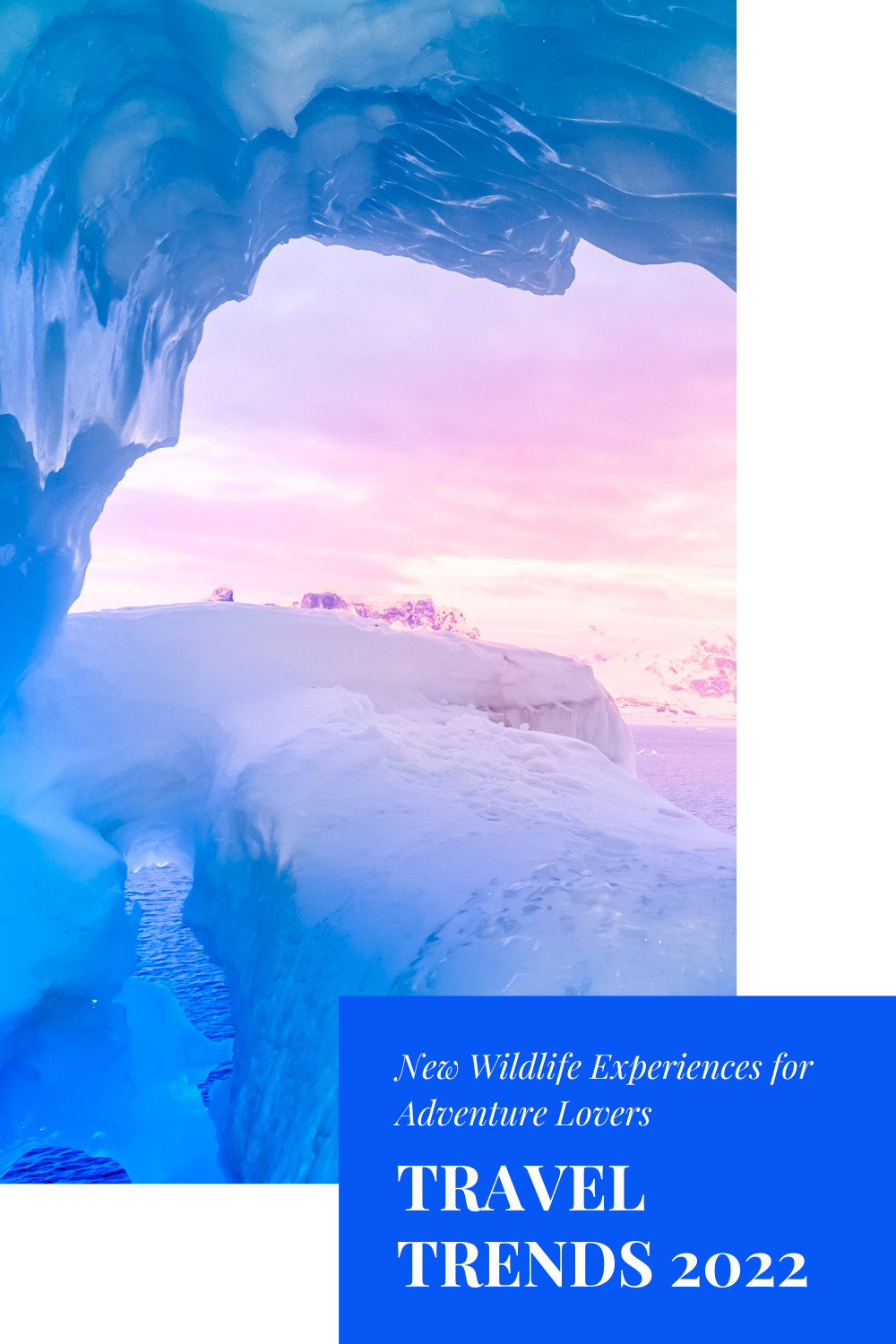 Travel Trends 2022 New Wildlife Experiences for Adventure Lovers