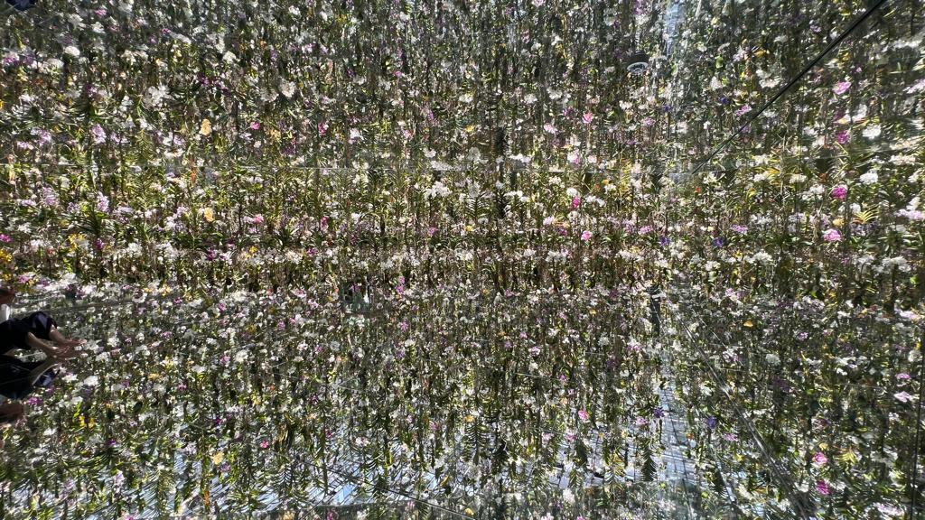 5 Reasons Why You Should Visit TeamLab Planets Japan in Toyosu, Tokyo 07