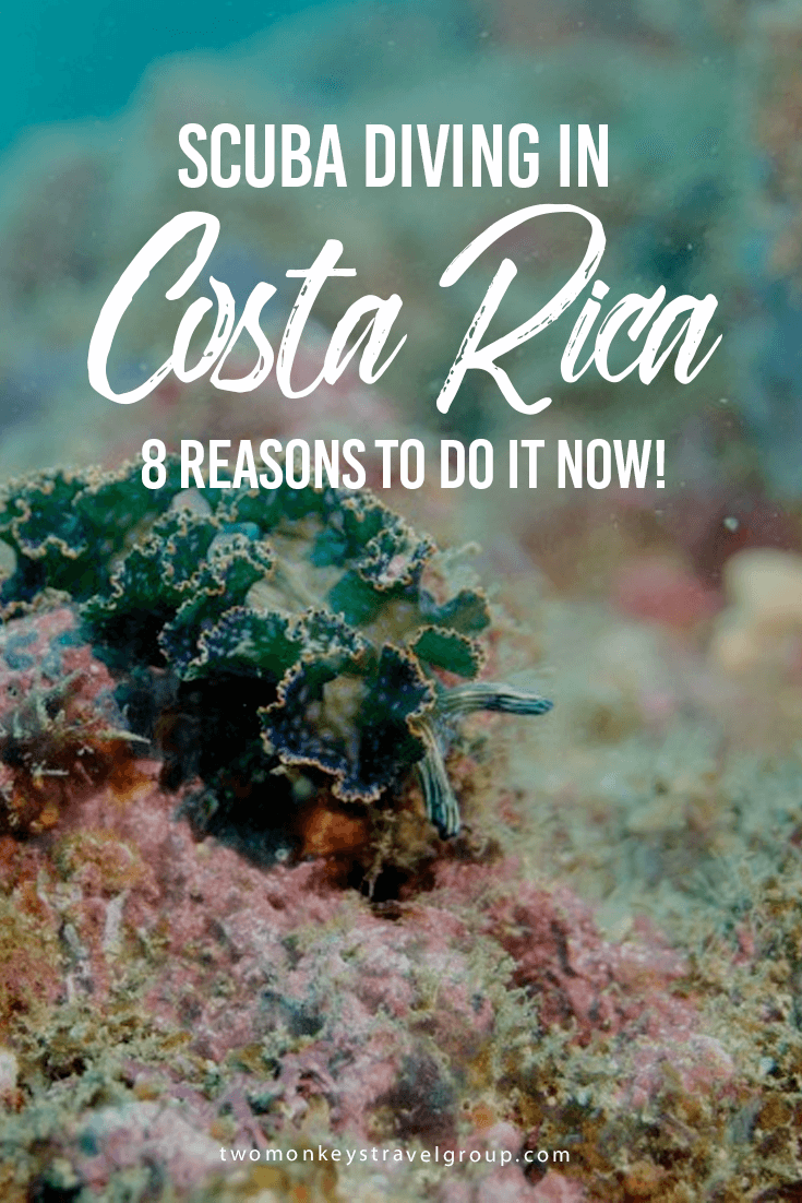 SCUBA Diving in Costa Rica - 8 Reasons to do it now!