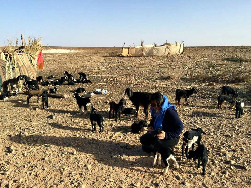 Luxury Desert Camping with Sahara Experience