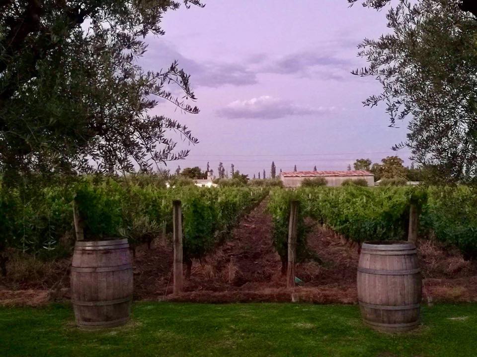 Bodega Y Club Tapiz , Mendoza Argentina – Perfect for Wine Tasting Adventures and More