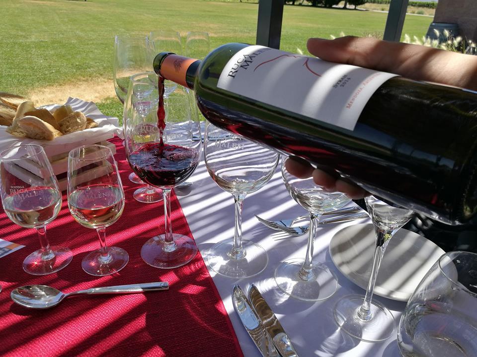 Bodega Y Club Tapiz , Mendoza Argentina – Perfect for Wine Tasting Adventures and More