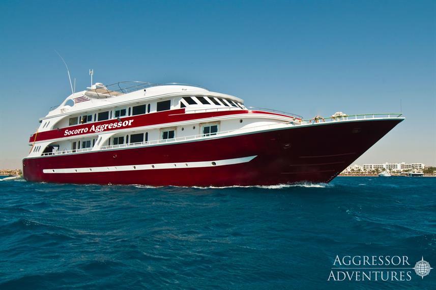 Best Liveaboards Dive Trips in Mexico6