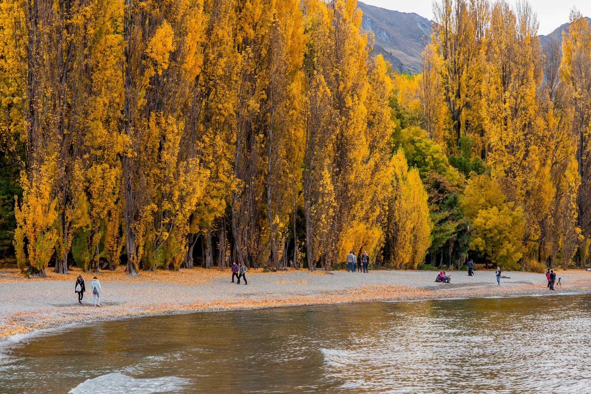 How to Apply For A New Zealand Tourist Visa with Your Philippines Passport