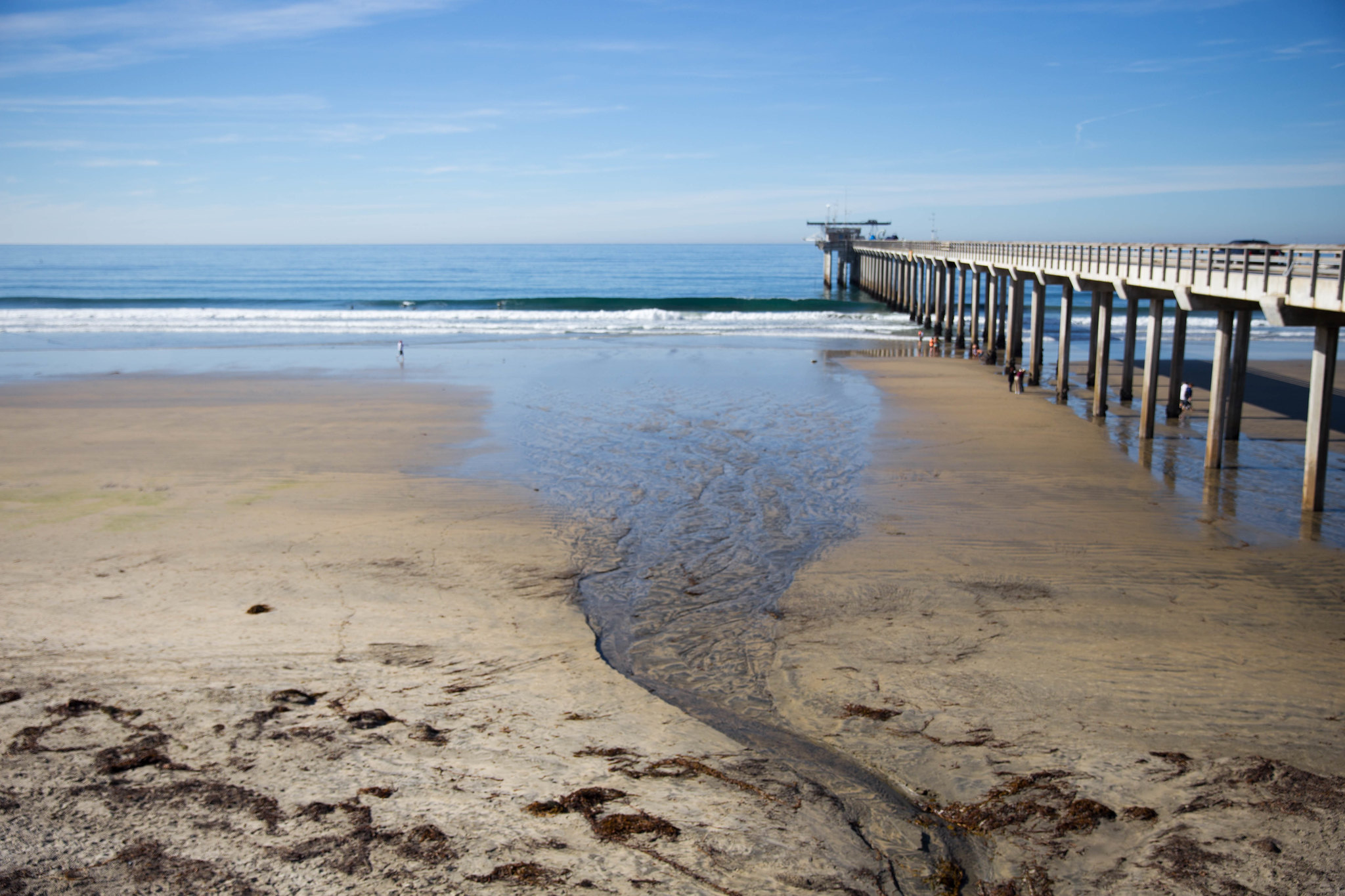 Best Beaches in San Diego, California Top 10 Beaches in San Diego