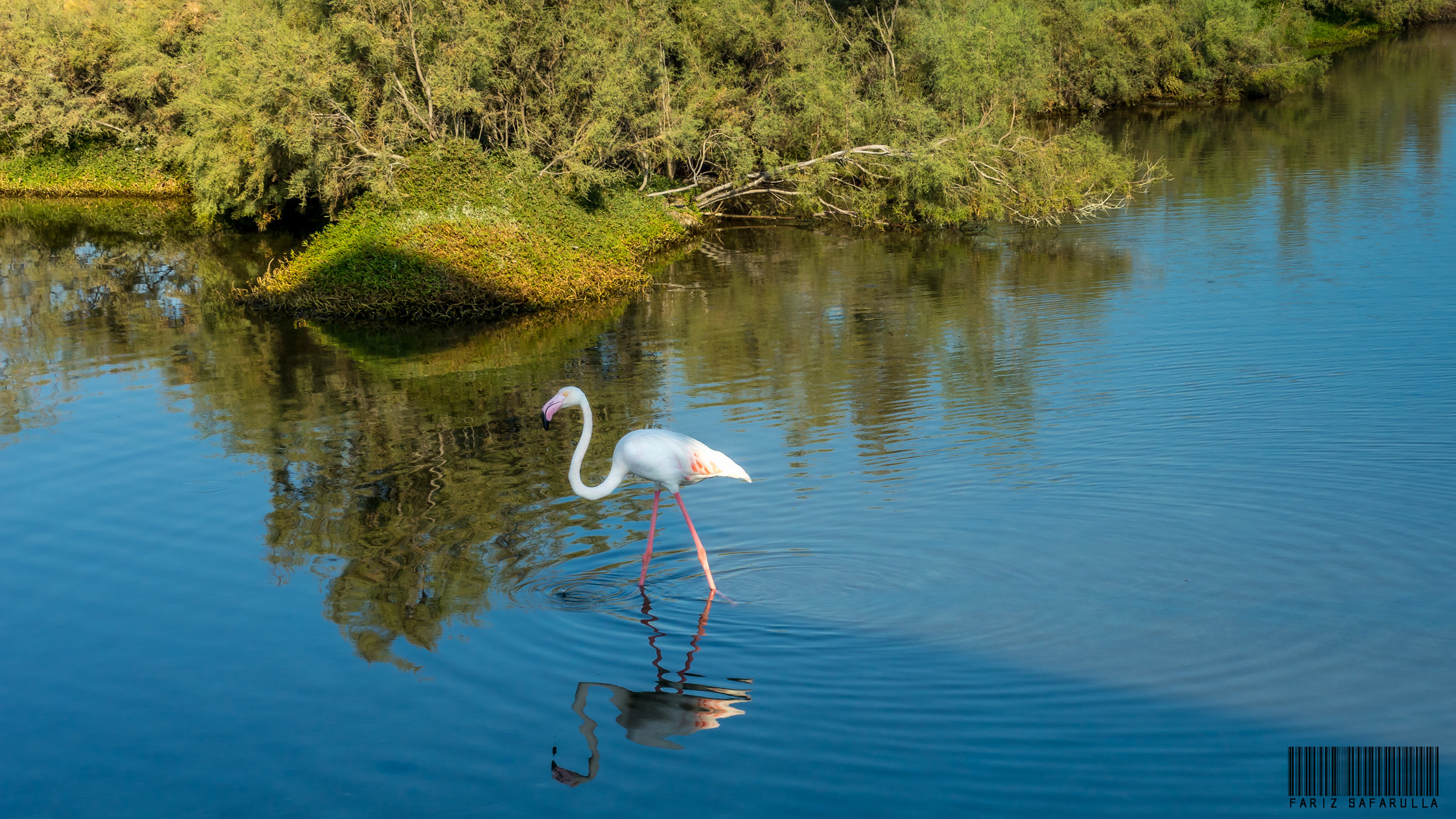 7 Unconventional Places to Visit in Dubai